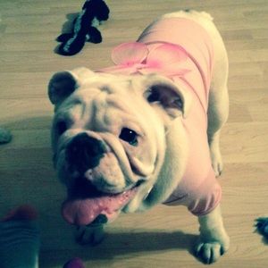 Meet your Posher, Jen